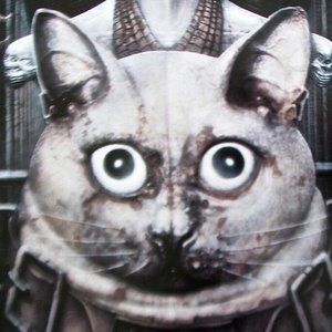 Meet your Posher, Ely